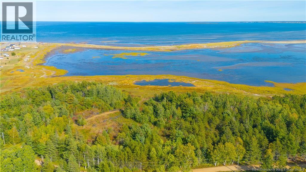 Lot Olivier Road, Maisonnette, New Brunswick  E8N 2A2 - Photo 7 - NB126481