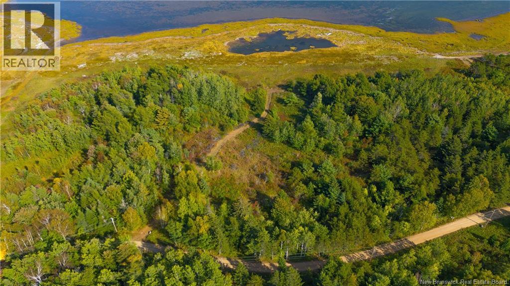 Lot Olivier Road, Maisonnette, New Brunswick  E8N 2A2 - Photo 12 - NB126481