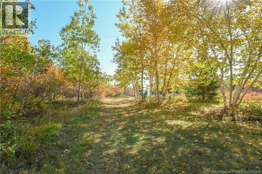 Lot Olivier Road, Maisonnette, New Brunswick  E8N 2A2 - Photo 18 - NB126481