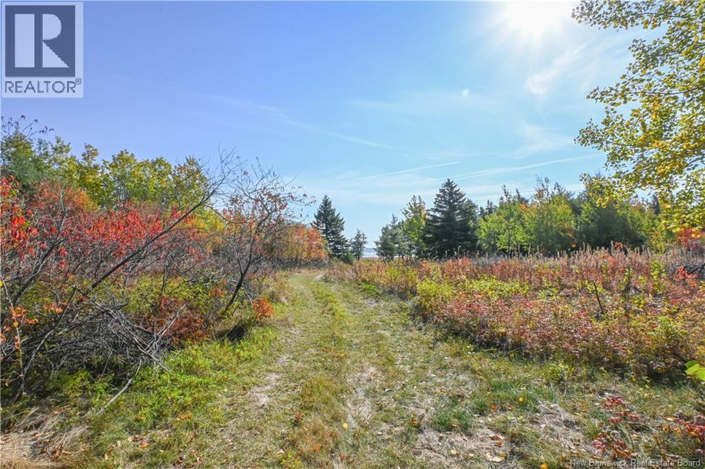 Lot Olivier Road, Maisonnette, New Brunswick  E8N 2A2 - Photo 19 - NB126481