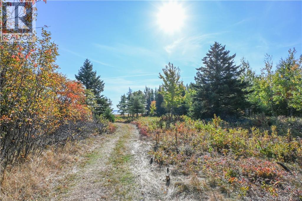 Lot Olivier Road, Maisonnette, New Brunswick  E8N 2A2 - Photo 20 - NB126481