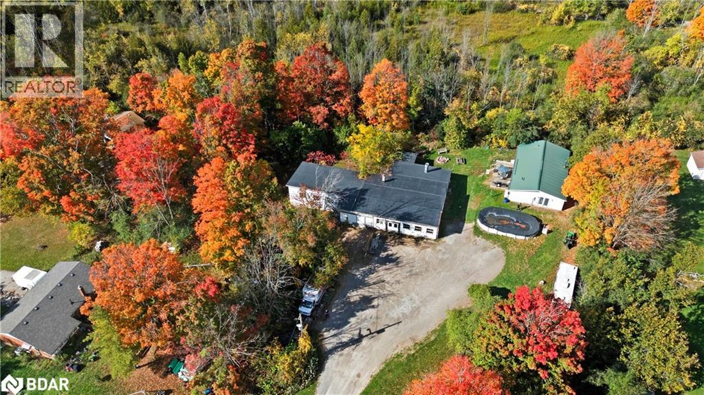 122 County Road 4 Road, Douro, Ontario  K0L 1S0 - Photo 1 - 40778339