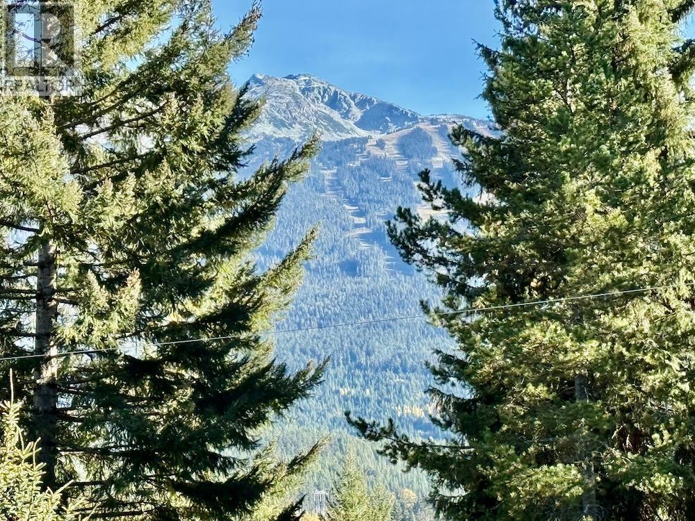 8609 Forest Ridge Drive, Whistler, British Columbia  V8E 0G1 - Photo 14 - R3057454