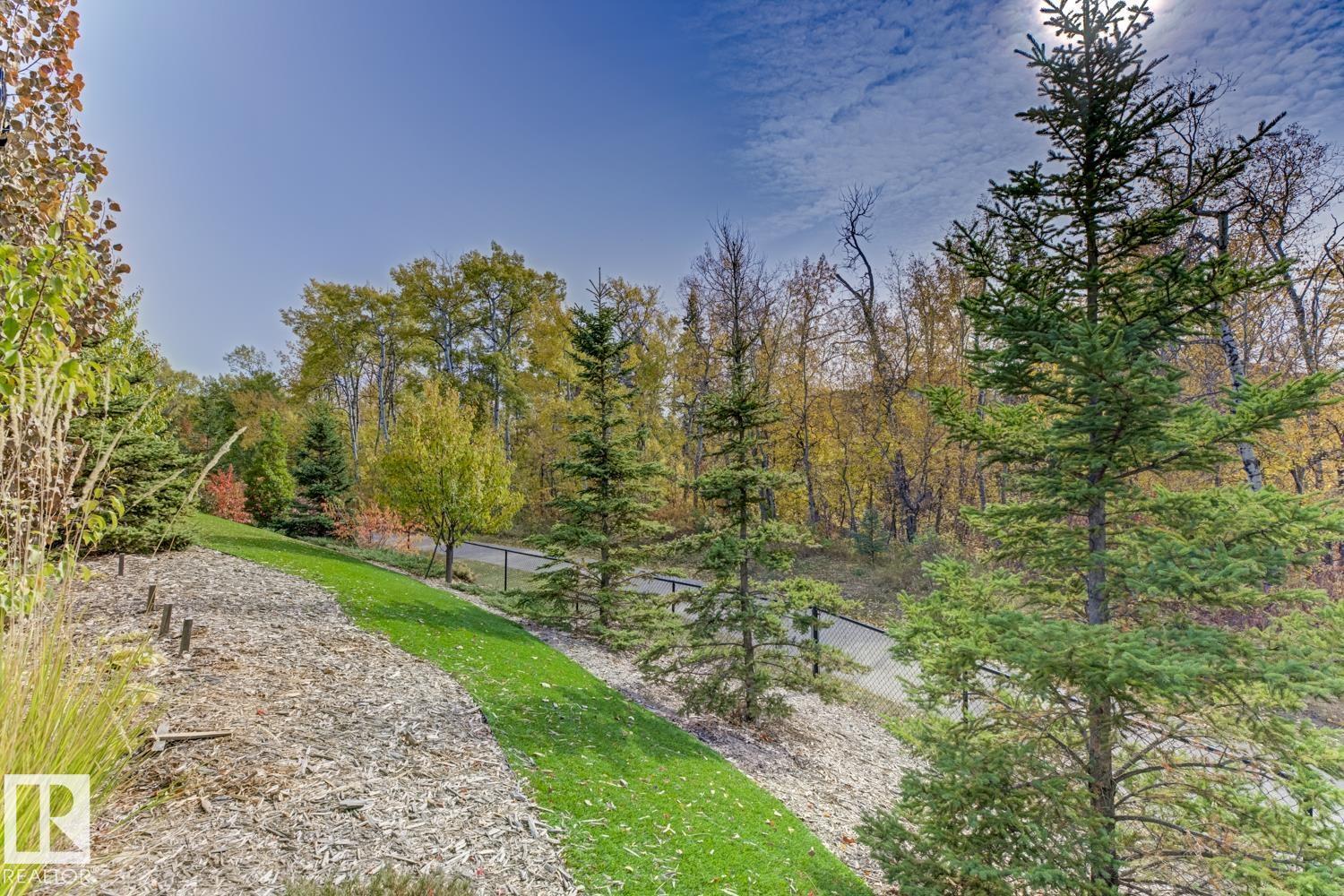 #210 5029 Edgemont Bv Nw, Edmonton, Alberta  T6M 0S8 - Photo 8 - E4461711