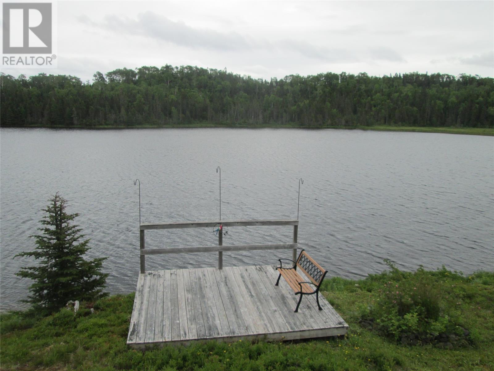 29058 Twin Ponds Highway, Ritter's Arm, Newfoundland & Labrador  A0H 1L0 - Photo 12 - 1291452