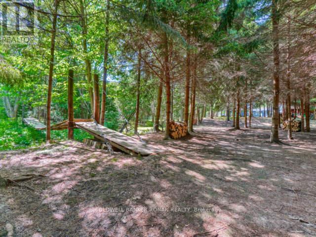 6591 6th Line, New Tecumseth, Ontario  L0G 1W0 - Photo 41 - N12457095