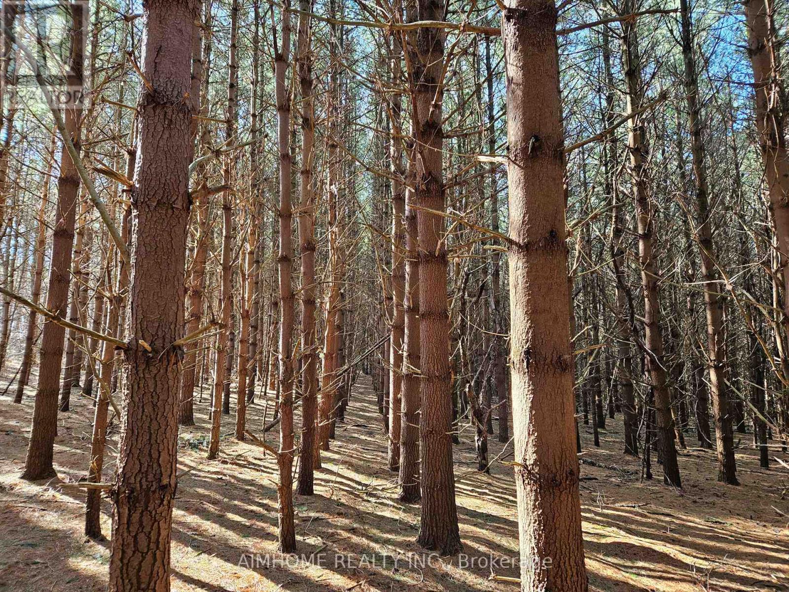 10400 And 10800 6th Concession, Uxbridge, Ontario  L9P 1R2 - Photo 24 - N12081335