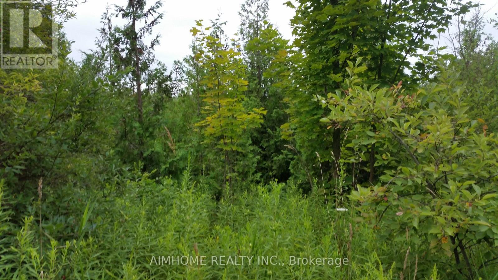 10400 And 10800 6th Concession, Uxbridge, Ontario  L9P 1R2 - Photo 11 - N12081335
