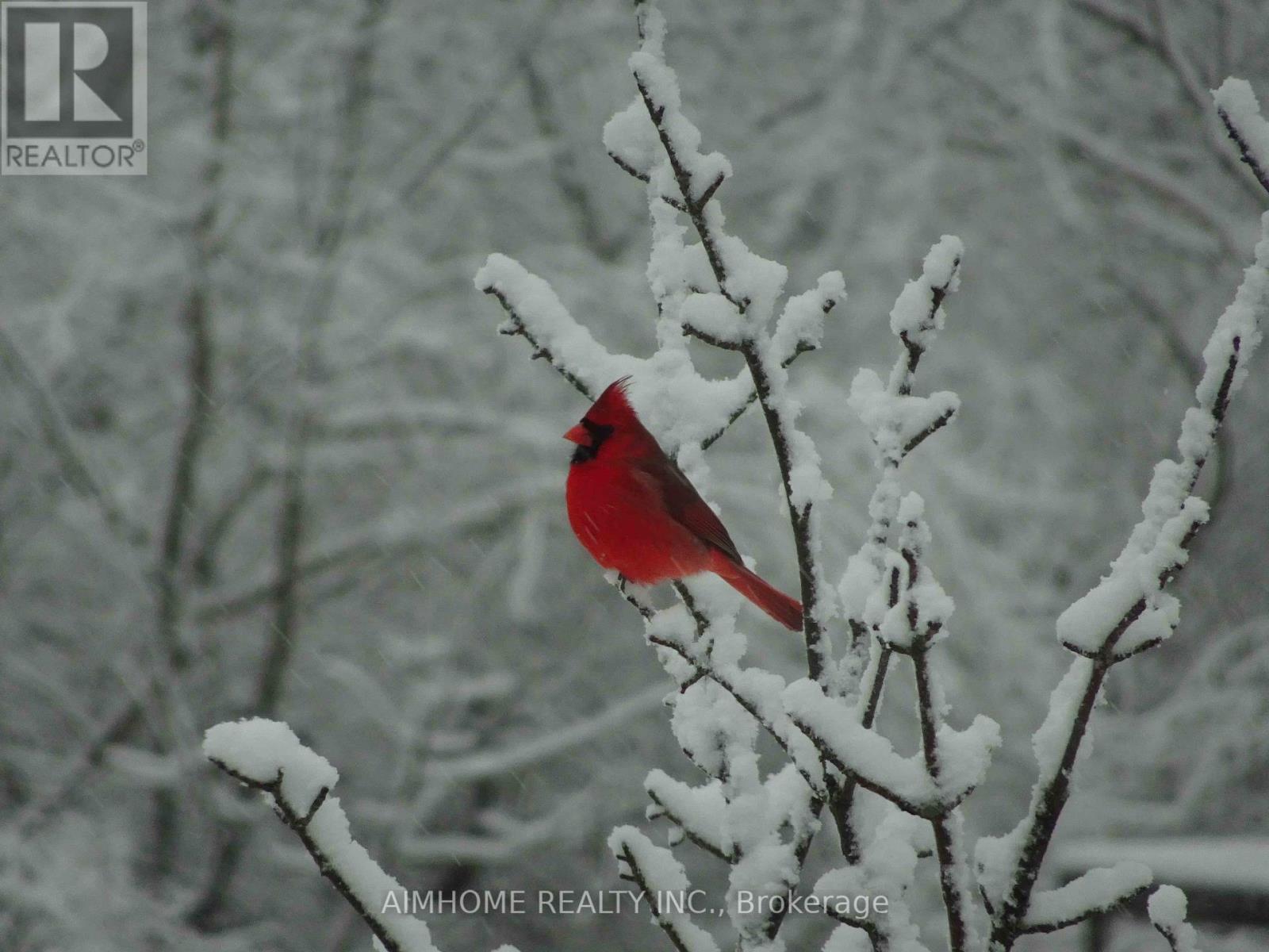 10400 And 10800 6th Concession, Uxbridge, Ontario  L9P 1R2 - Photo 16 - N12081335