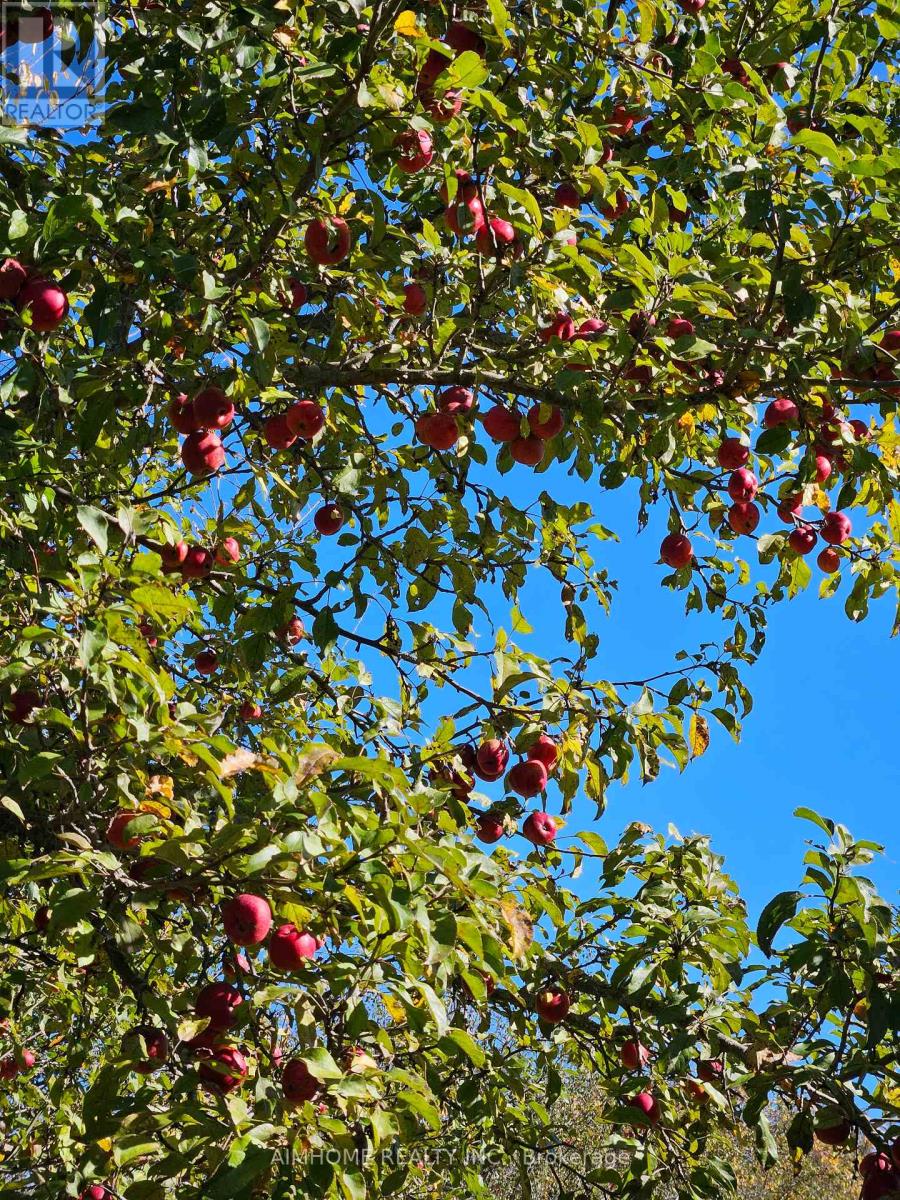 10400 And 10800 6th Concession, Uxbridge, Ontario  L9P 1R2 - Photo 45 - N12081335