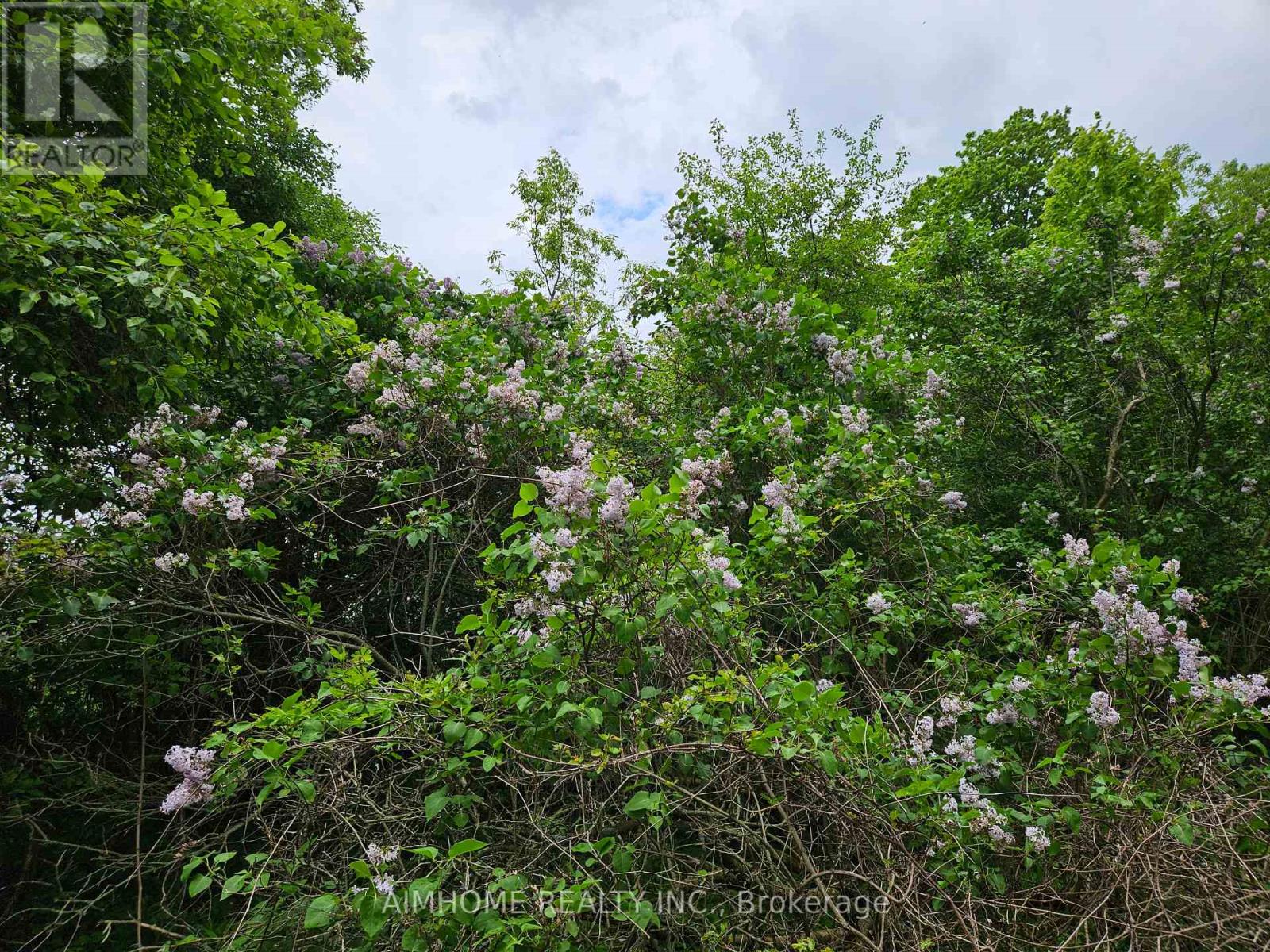 10400 And 10800 6th Concession, Uxbridge, Ontario  L9P 1R2 - Photo 29 - N12081335