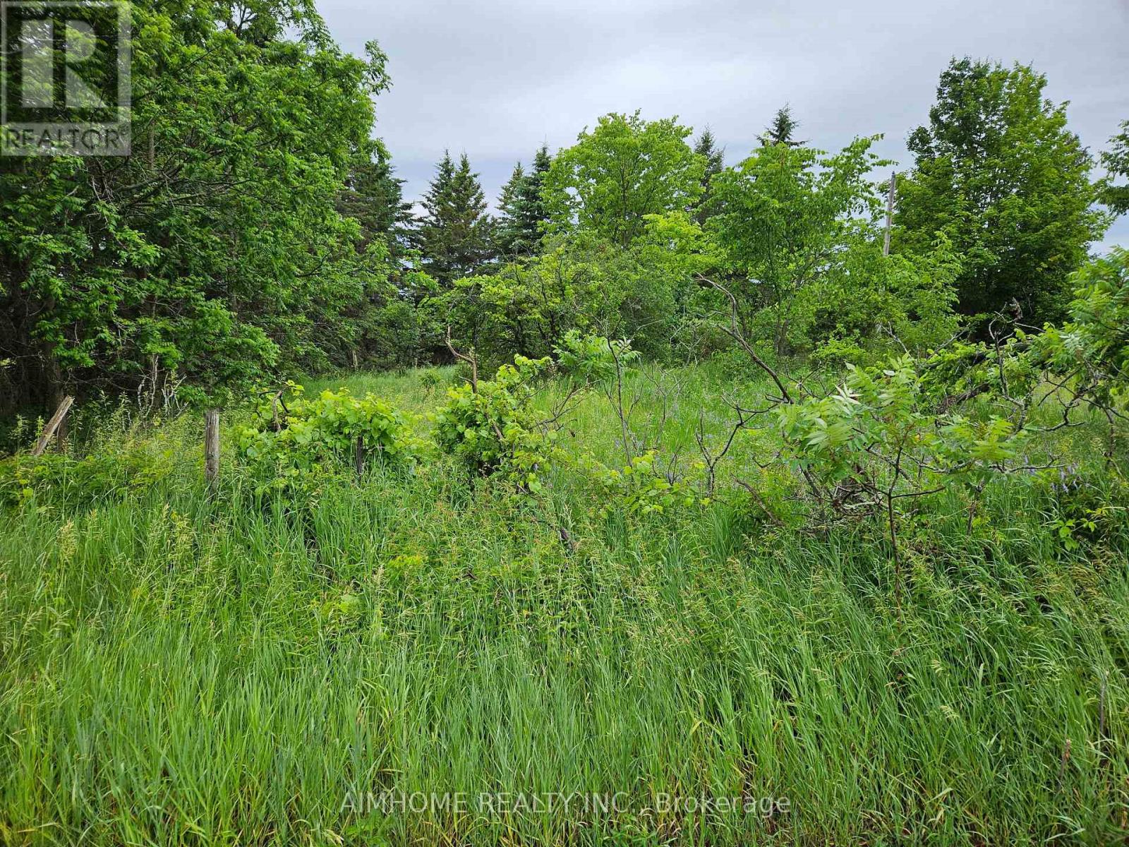 10400 And 10800 6th Concession, Uxbridge, Ontario  L9P 1R2 - Photo 42 - N12081335