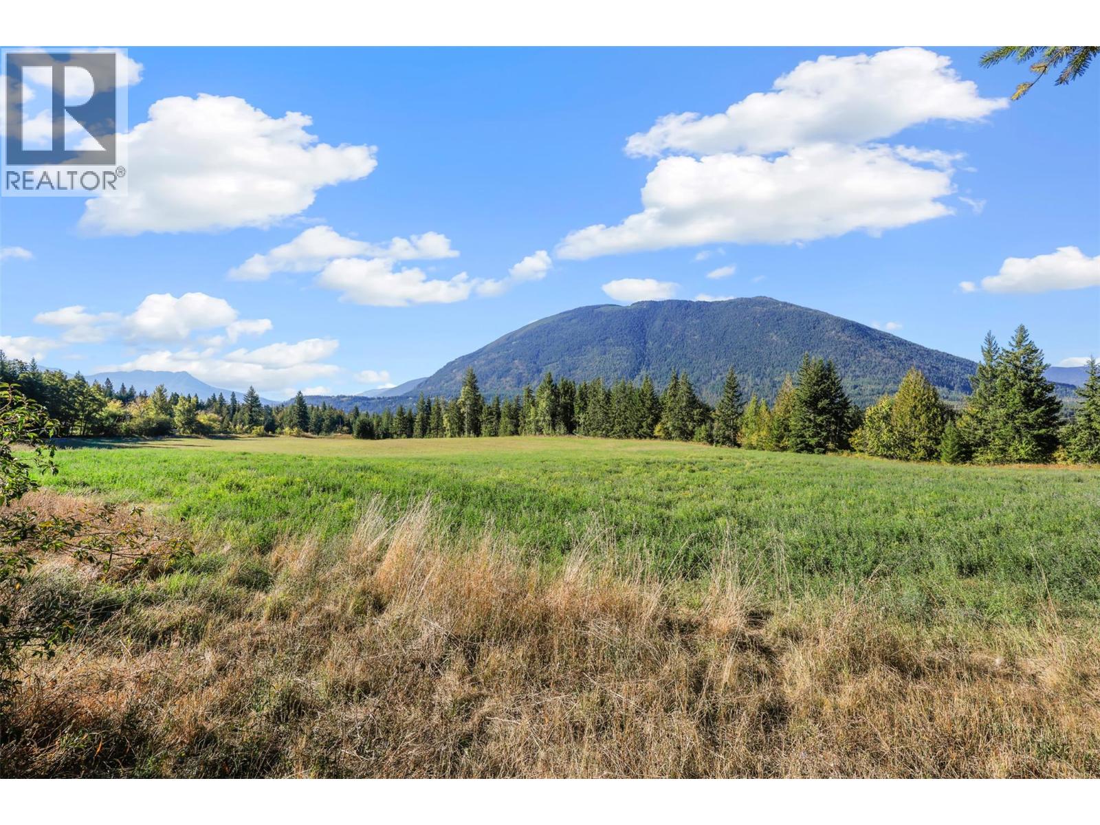 1012 Addison Road, Tappen, British Columbia  V0E 2X1 - Photo 33 - 10360579