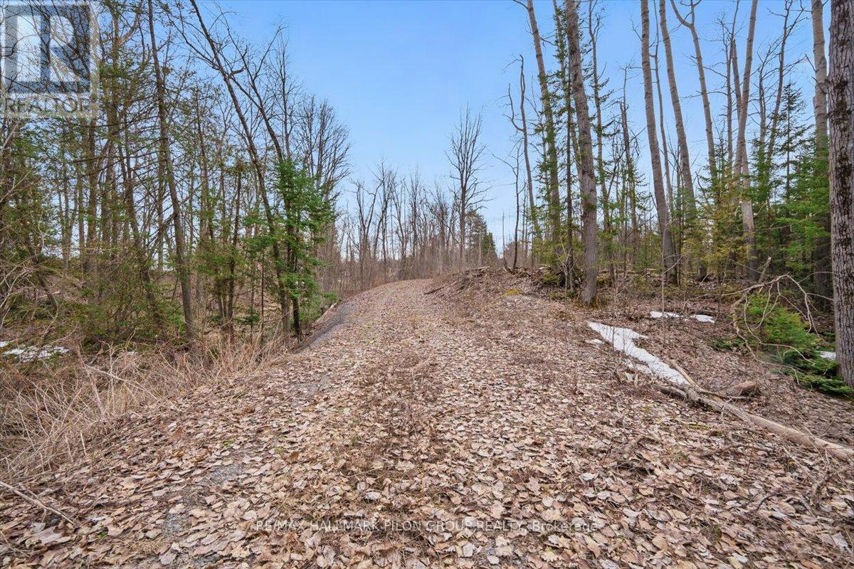 1219 Dunning Road, Ottawa, Ontario  K4B 1J1 - Photo 7 - X12457231