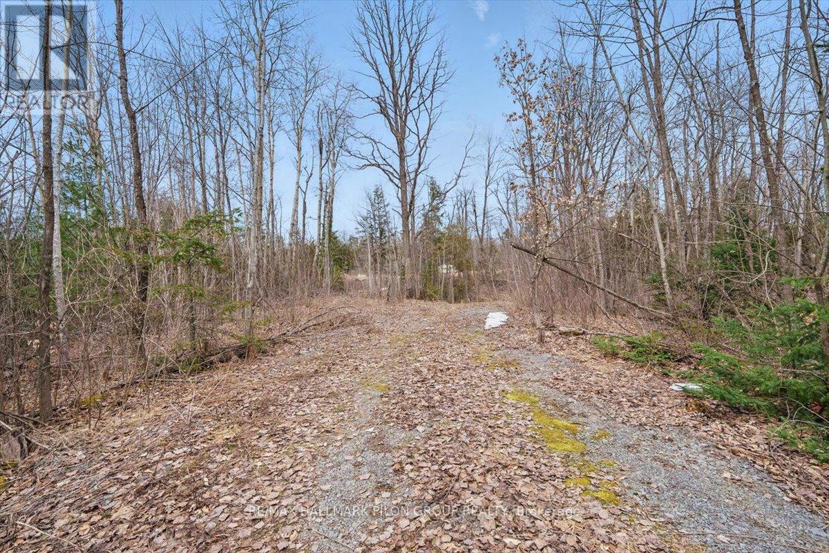 1219 Dunning Road, Ottawa, Ontario  K4B 1J1 - Photo 8 - X12457231