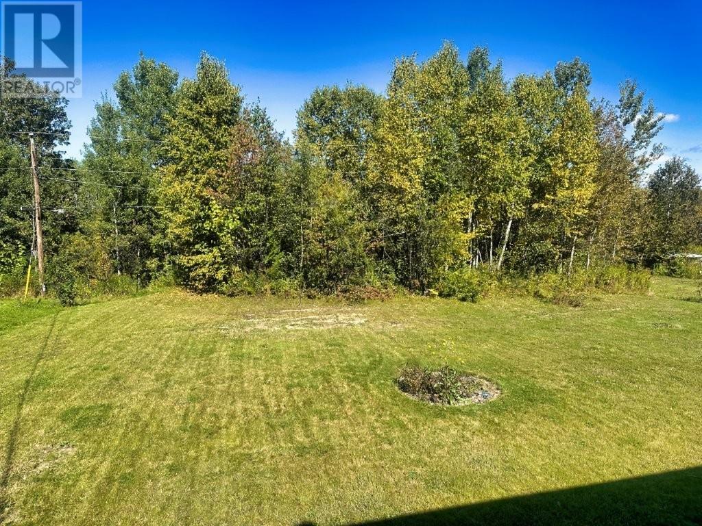 155 Harkness Street, Nipigon, Ontario  P0T 2J0 - Photo 42 - TB253198