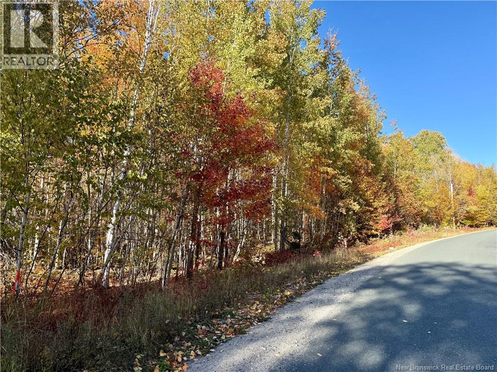 Lot 96-1 Hilltop Road, Hilltop, New Brunswick  E9E 1R9 - Photo 1 - NB128330