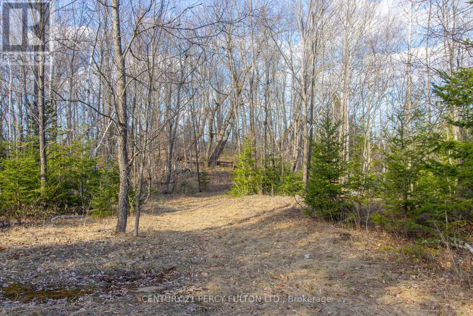 L 24&25 - 0 Lost Nation Road, Lyndoch And Raglan, Ontario  K0J 2E0 - Photo 43 - X12457206