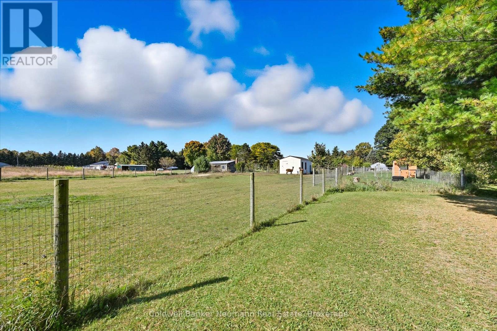 1704 2nd Con Road W, Hamilton, Ontario  L0R 1T0 - Photo 20 - X12457354