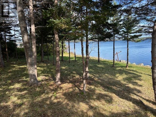 10485 Grenville Street, St. Peter's, Nova Scotia  B0E 3B0 - Photo 31 - 202525602
