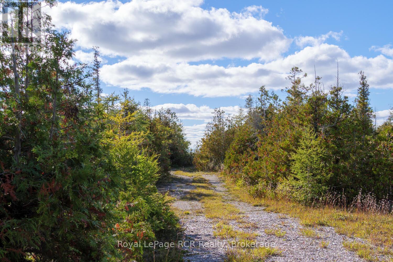 43 Sadler Creek Road, Northern Bruce Peninsula, Ontario  N0H 1Z0 - Photo 28 - X12457581
