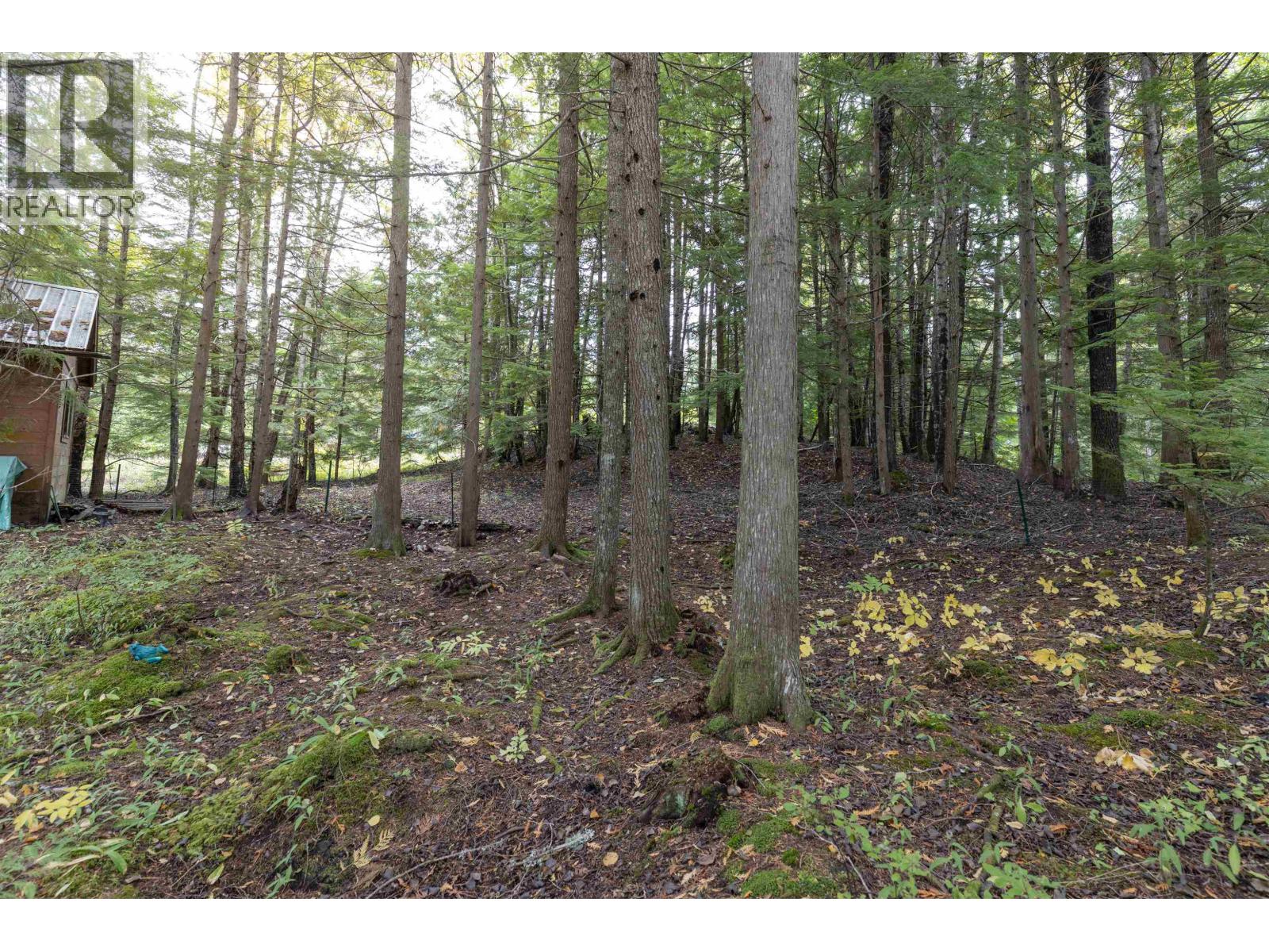 2029 Churchill Drive, Terrace, British Columbia  V8G 0E8 - Photo 36 - R3057531