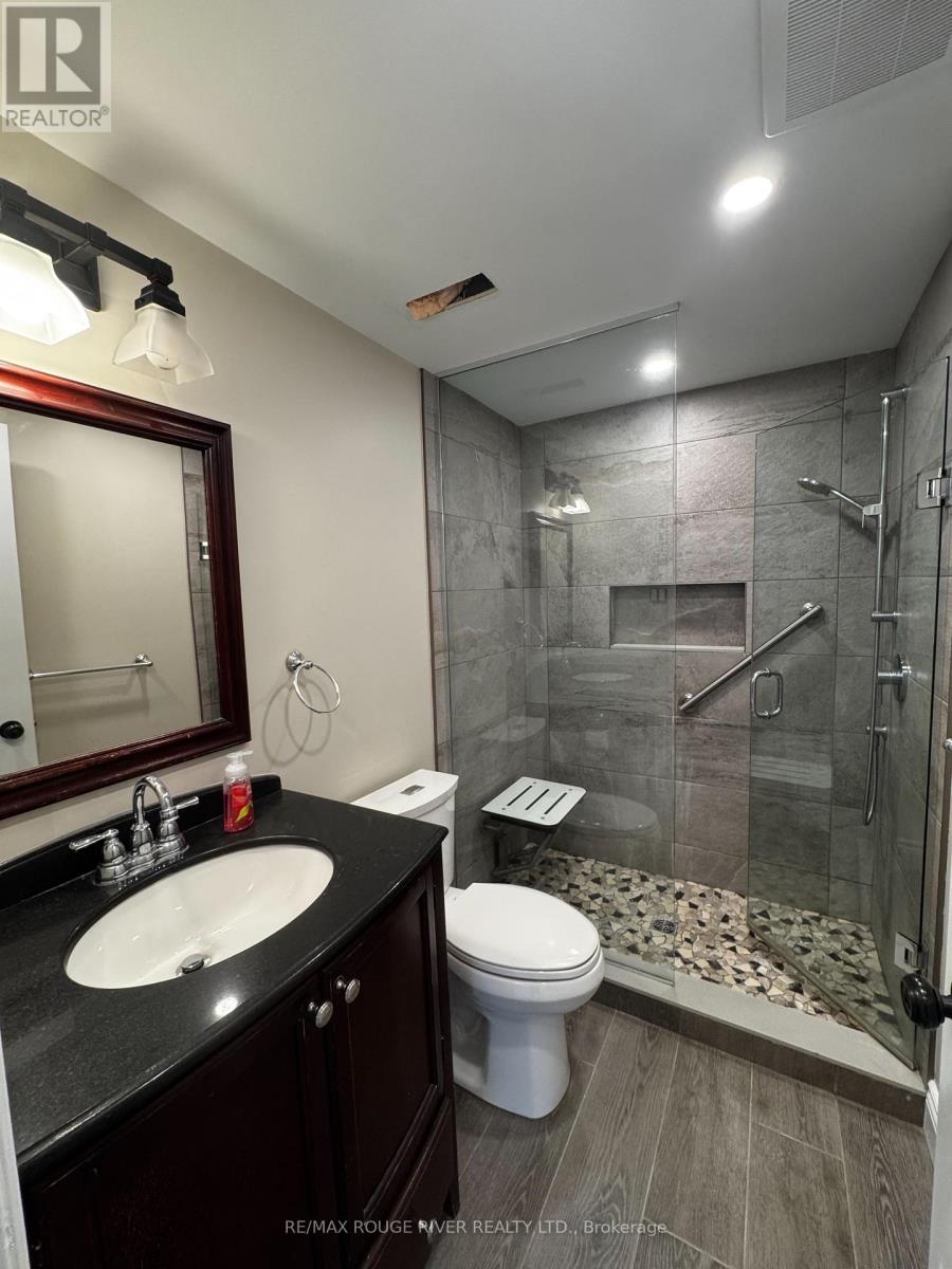 Lower - 40 Farncomb Crescent, Clarington, Ontario  L1C 4L8 - Photo 3 - E12427412