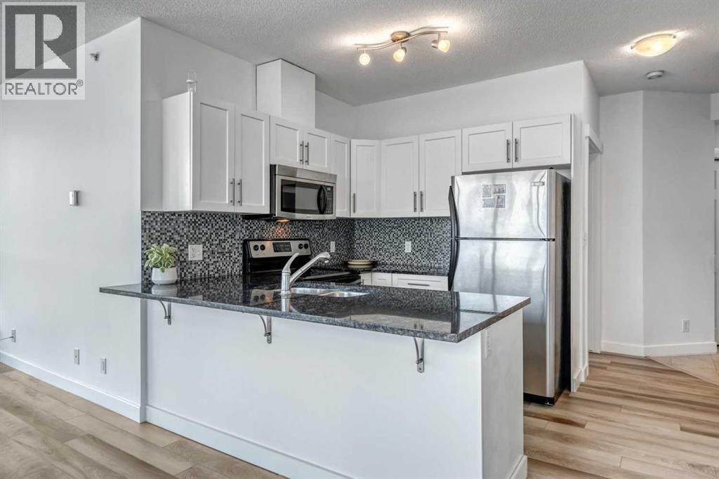 909, 325 3 Street Se, Calgary, Alberta  T2G 0T9 - Photo 13 - A2263716