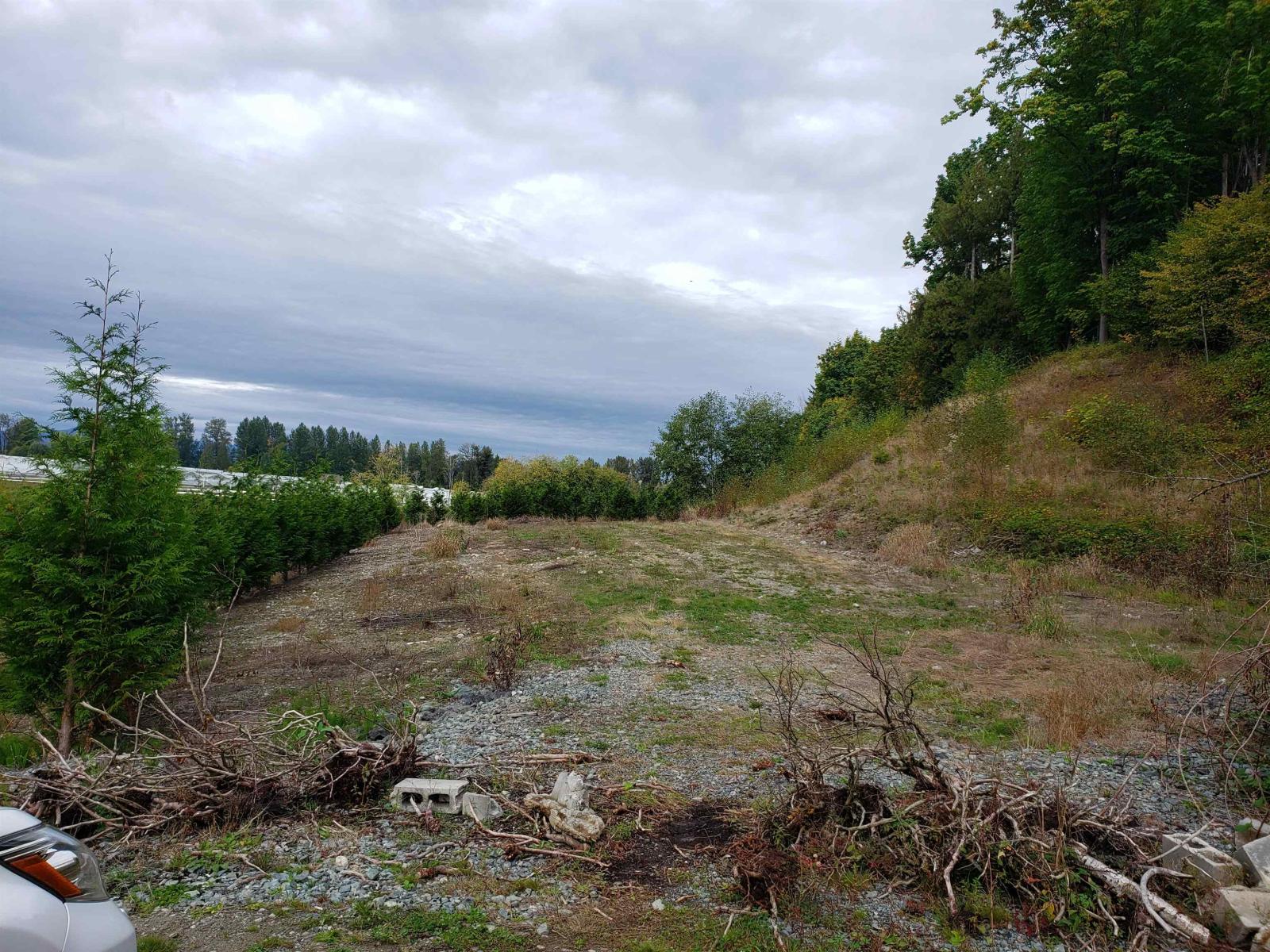 34861 Bateman Road, Abbotsford, British Columbia  V2S 7Y8 - Photo 4 - R3029633