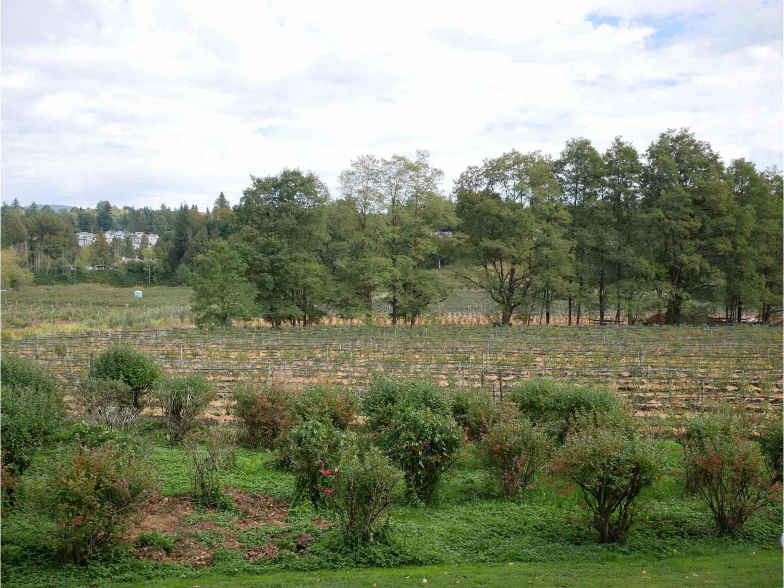 34861 Bateman Road, Abbotsford, British Columbia  V2S 7Y8 - Photo 23 - R3029633