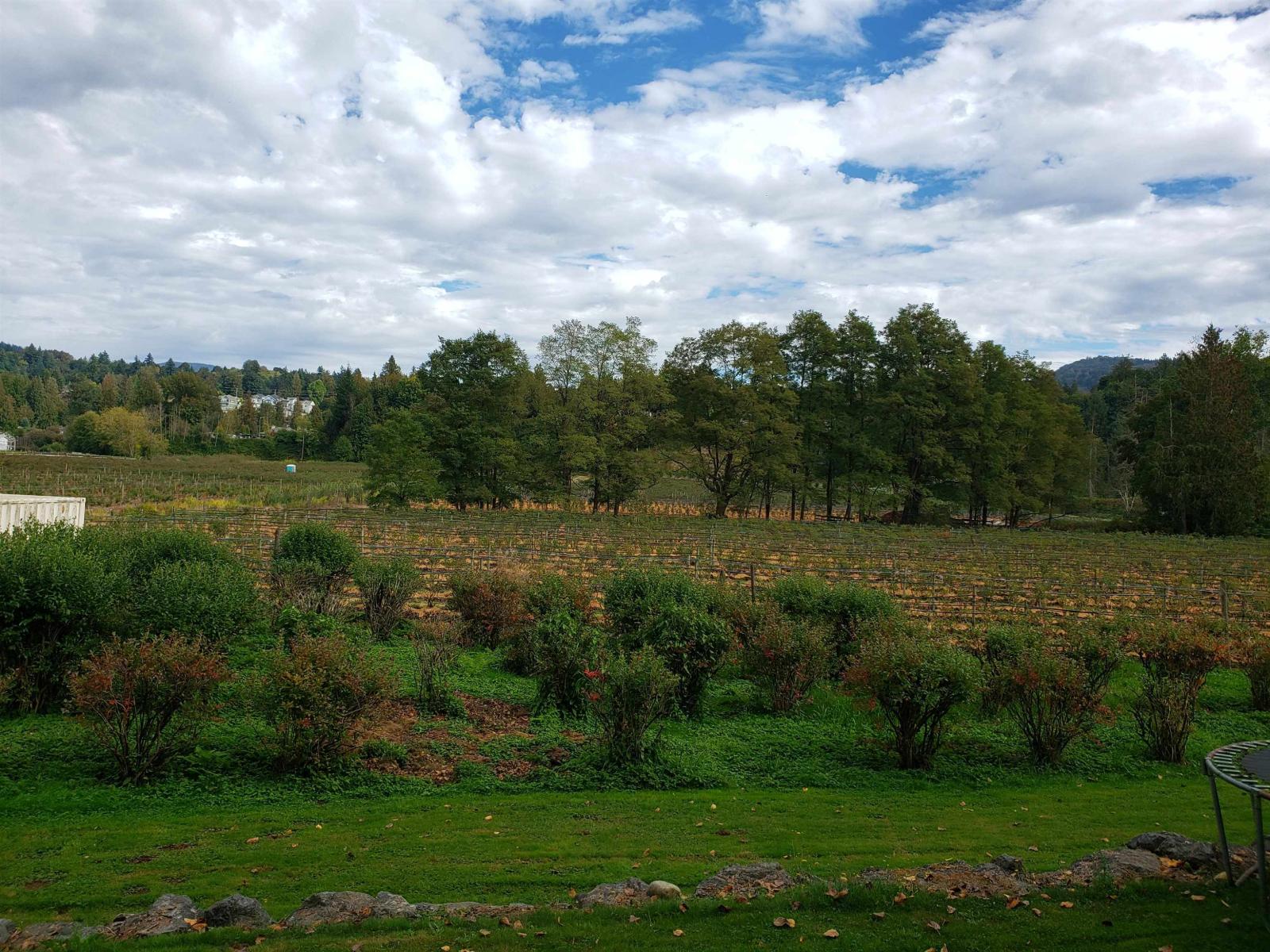 34861 Bateman Road, Abbotsford, British Columbia  V2S 7Y8 - Photo 10 - R3029633