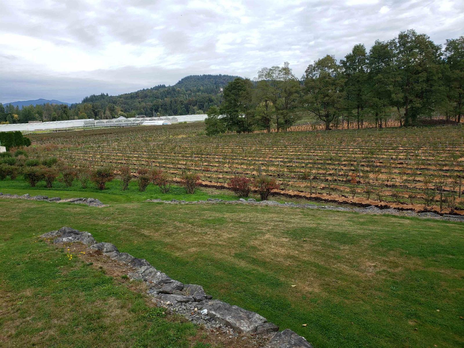 34861 Bateman Road, Abbotsford, British Columbia  V2S 7Y8 - Photo 9 - R3029633