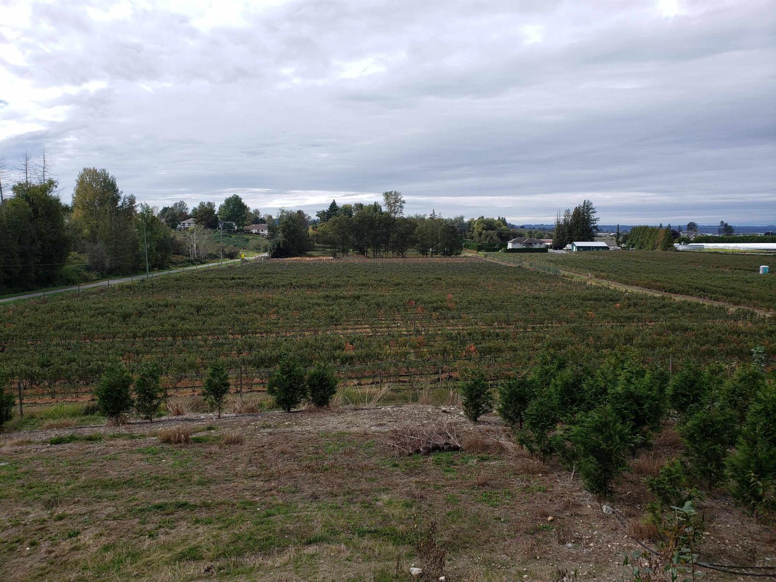 34861 Bateman Road, Abbotsford, British Columbia  V2S 7Y8 - Photo 5 - R3029633