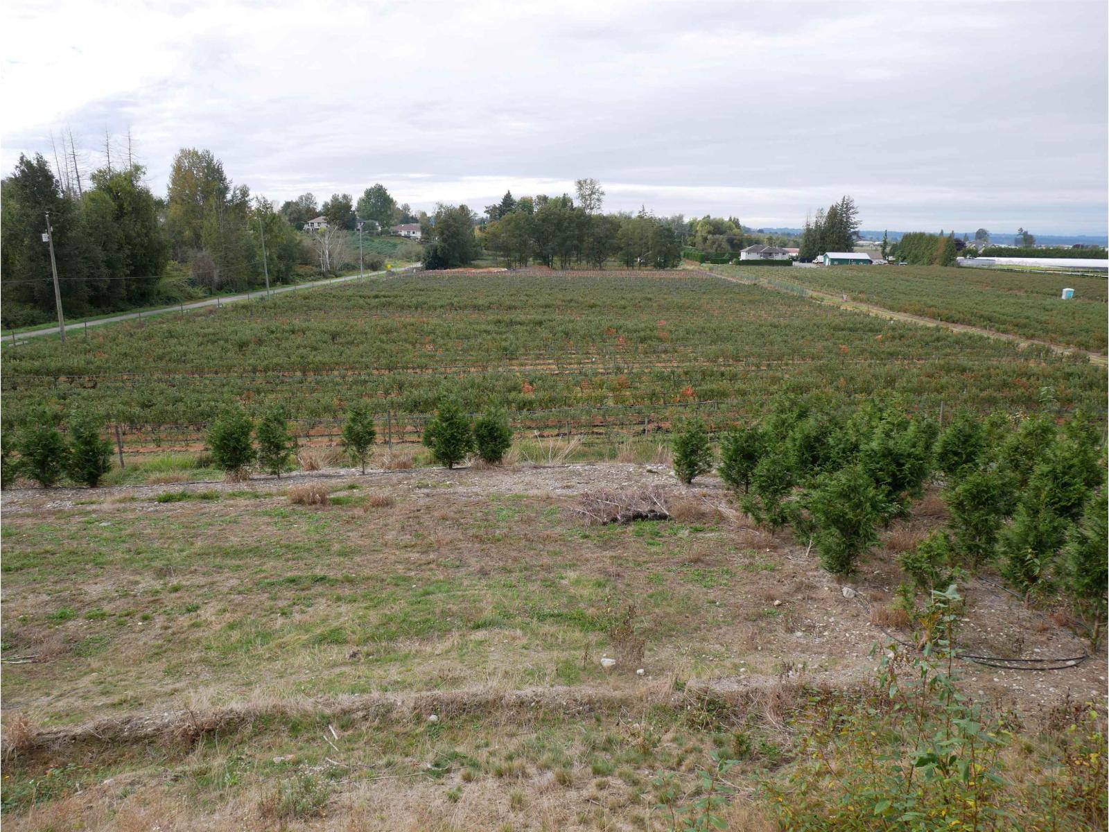 34861 Bateman Road, Abbotsford, British Columbia  V2S 7Y8 - Photo 18 - R3029633