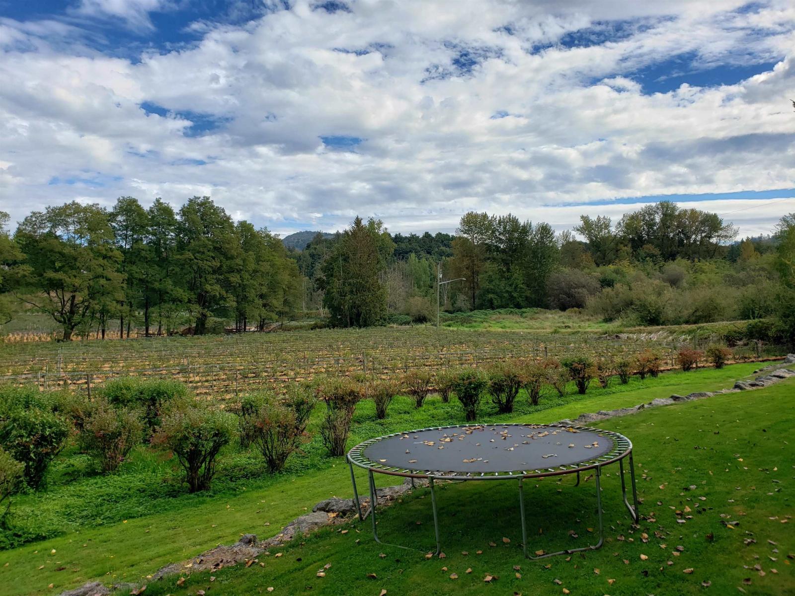 34861 Bateman Road, Abbotsford, British Columbia  V2S 7Y8 - Photo 11 - R3029633