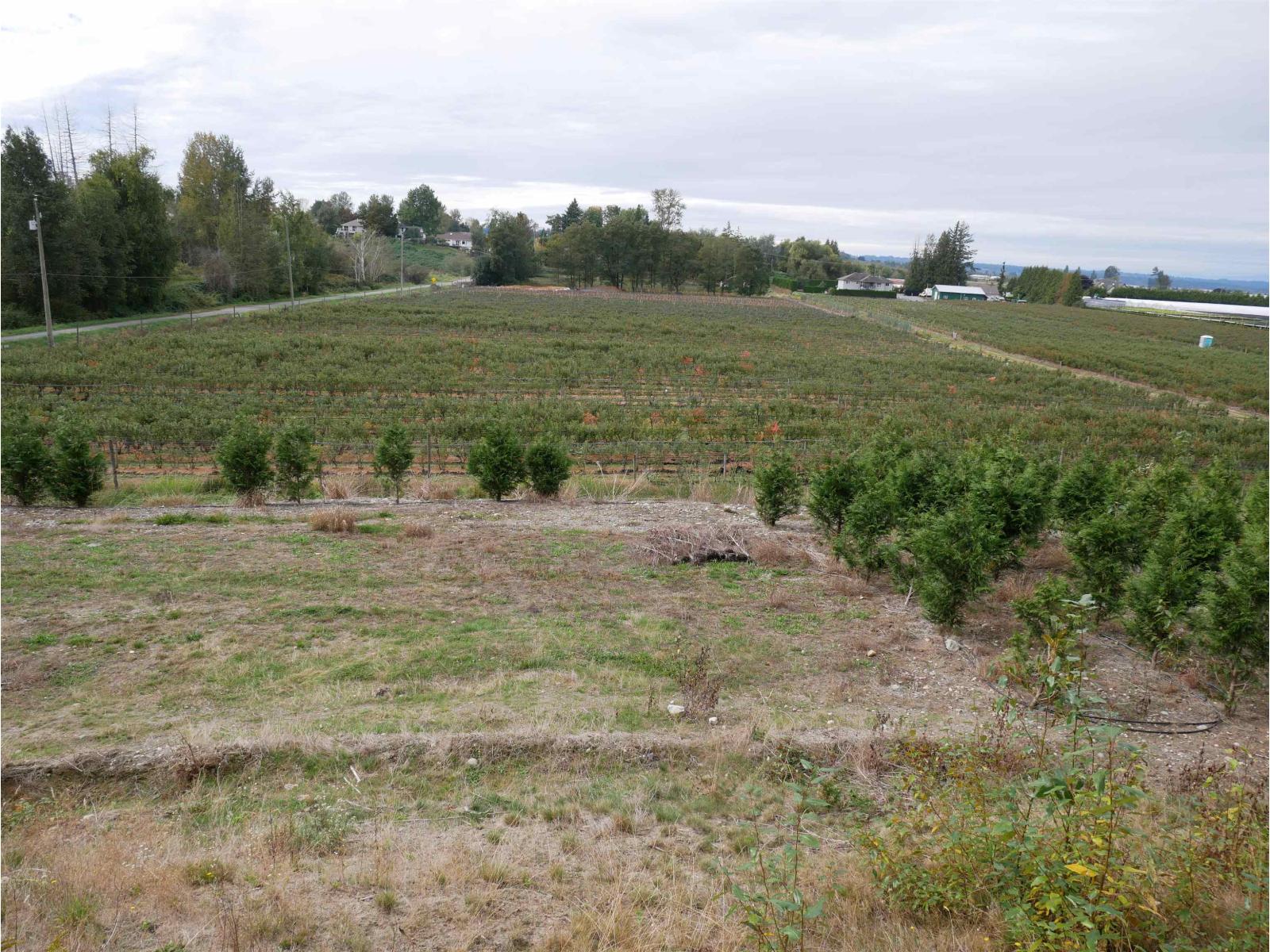 34861 Bateman Road, Abbotsford, British Columbia  V2S 7Y8 - Photo 16 - R3029633