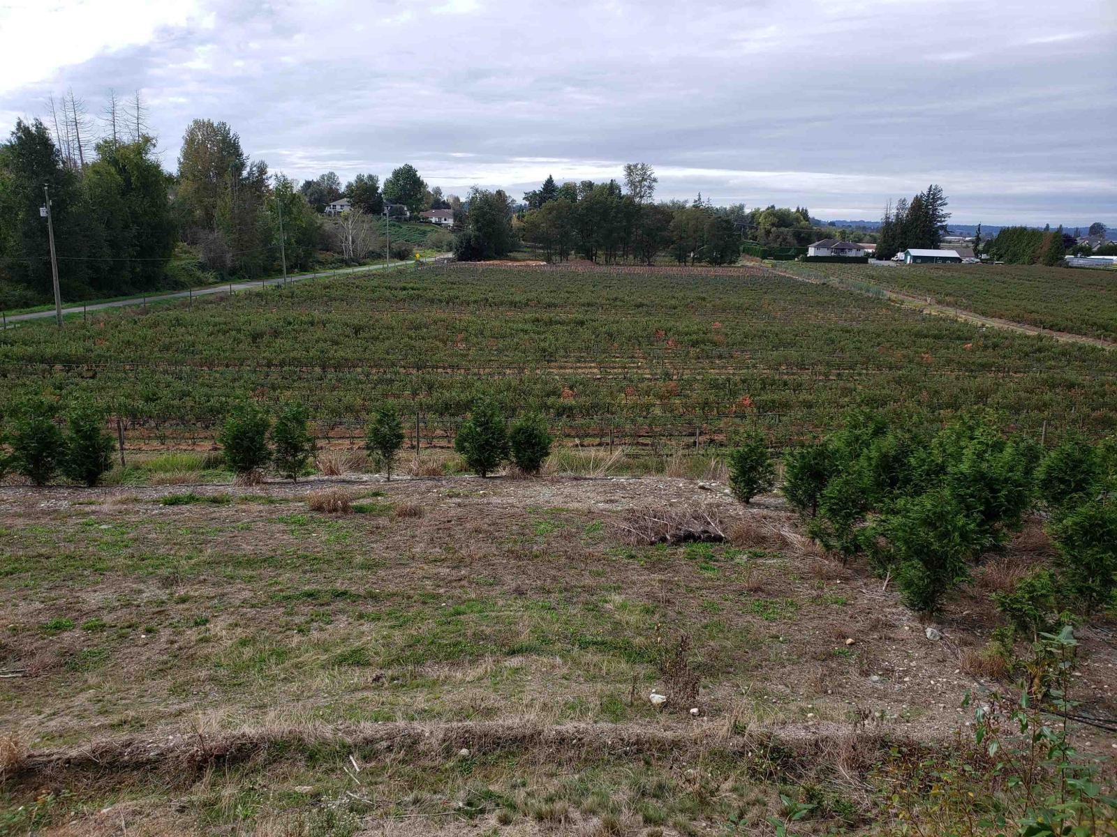 34861 Bateman Road, Abbotsford, British Columbia  V2S 7Y8 - Photo 7 - R3029633