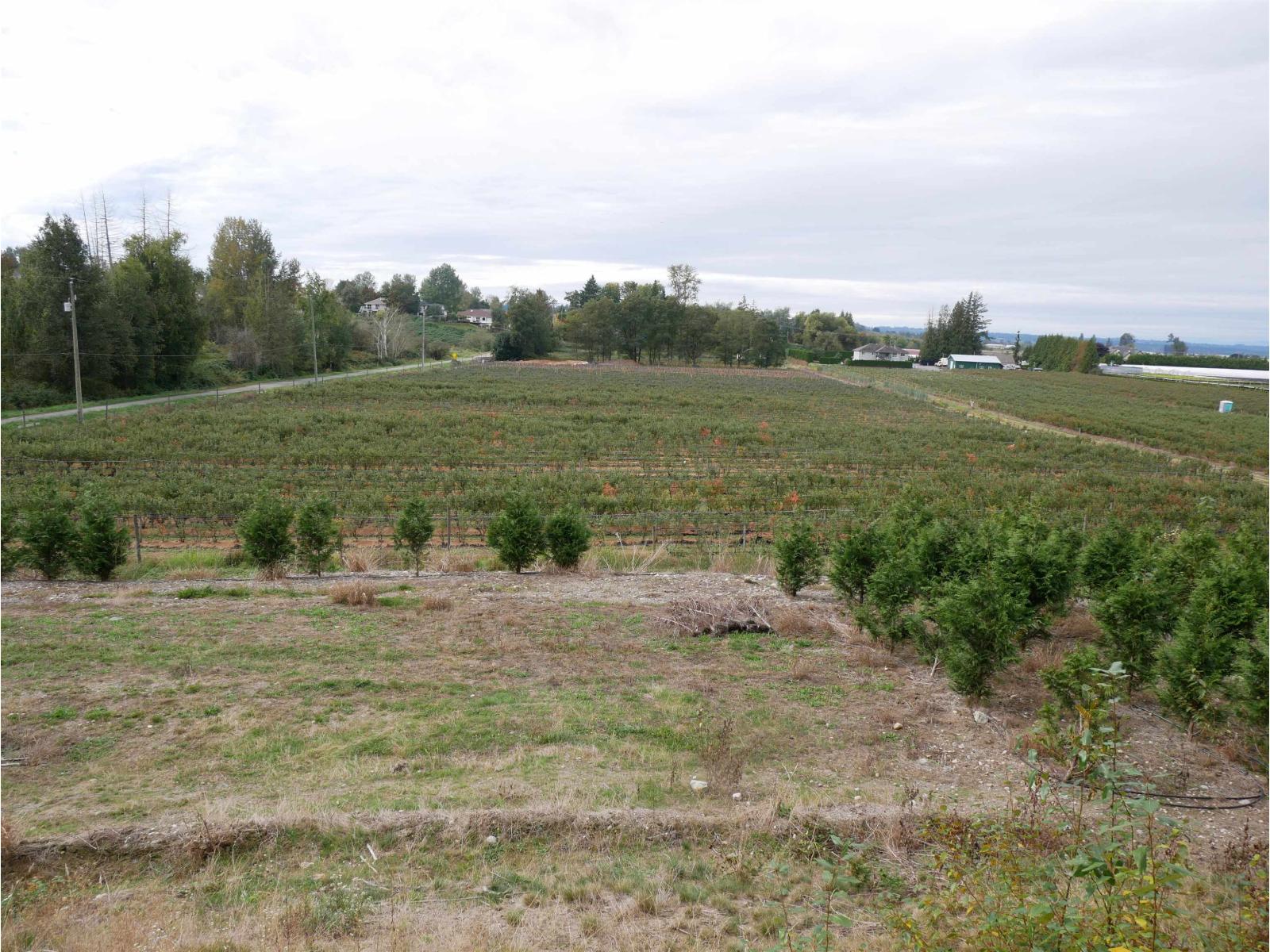 34861 Bateman Road, Abbotsford, British Columbia  V2S 7Y8 - Photo 17 - R3029633