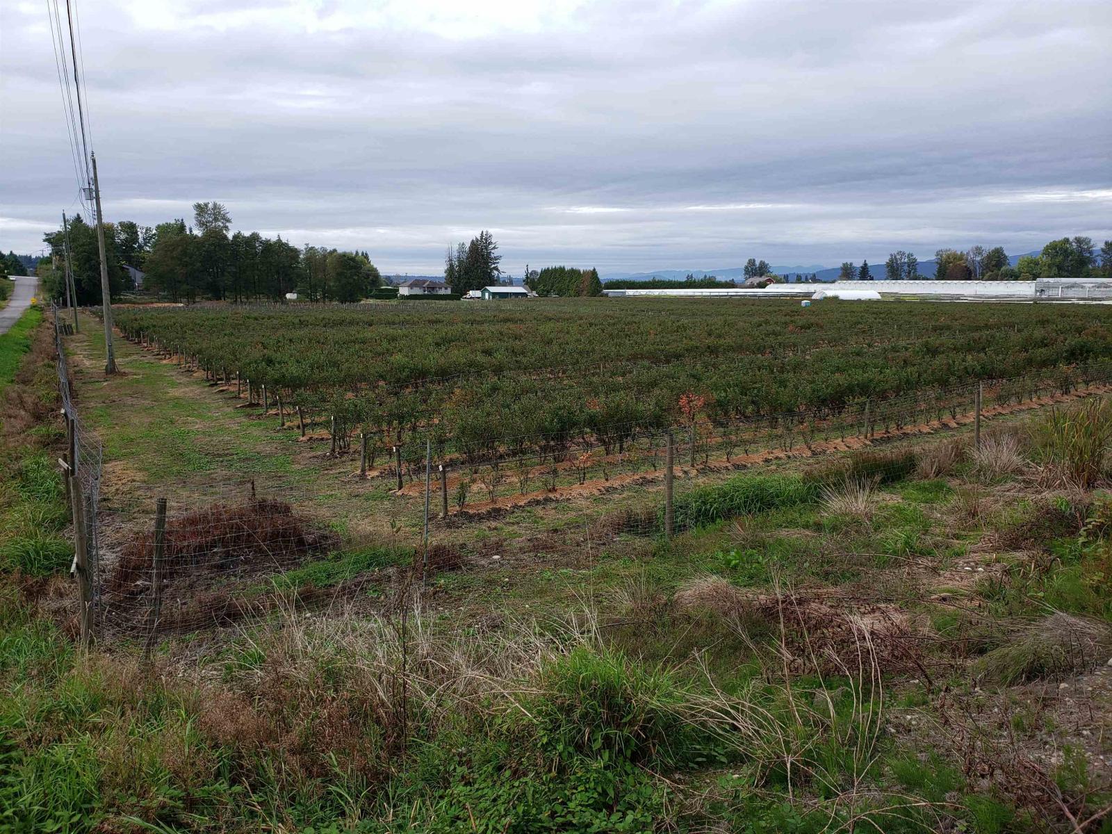 34861 Bateman Road, Abbotsford, British Columbia  V2S 7Y8 - Photo 3 - R3029633