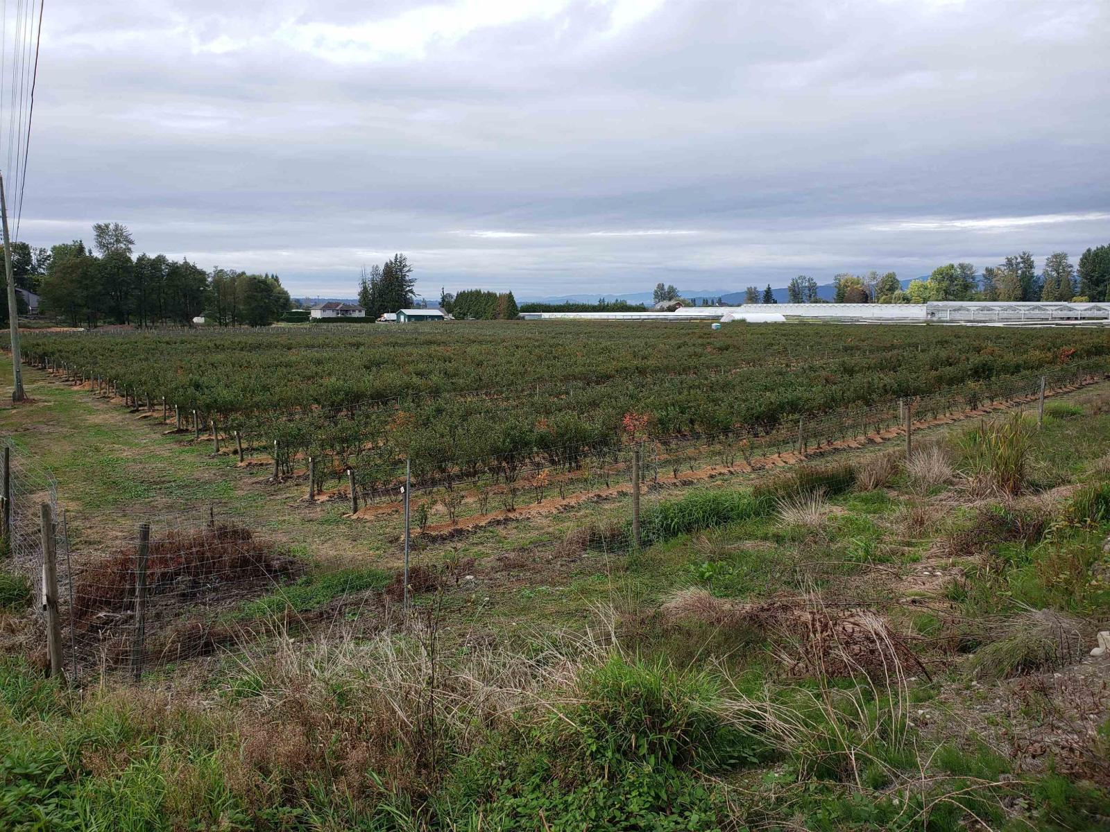 34861 Bateman Road, Abbotsford, British Columbia  V2S 7Y8 - Photo 2 - R3029633