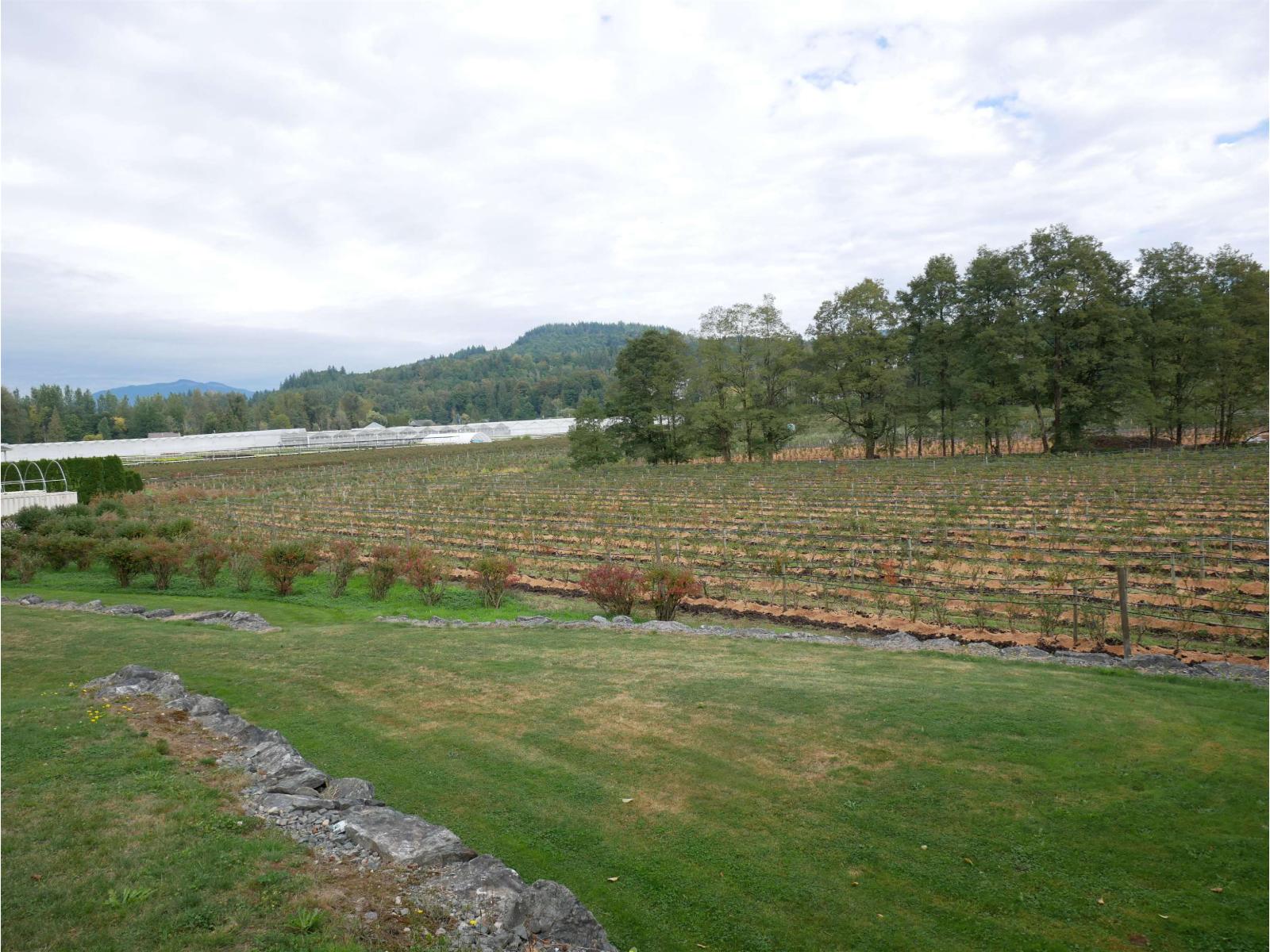 34861 Bateman Road, Abbotsford, British Columbia  V2S 7Y8 - Photo 20 - R3029633