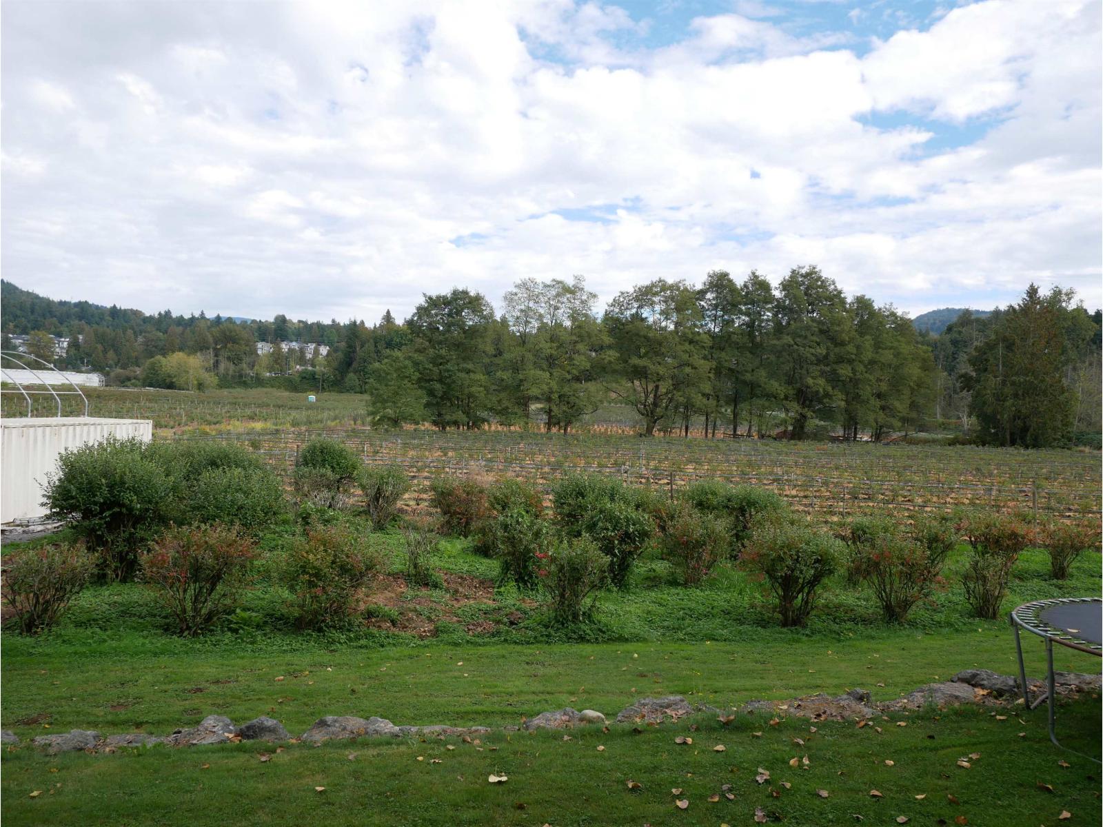 34861 Bateman Road, Abbotsford, British Columbia  V2S 7Y8 - Photo 21 - R3029633