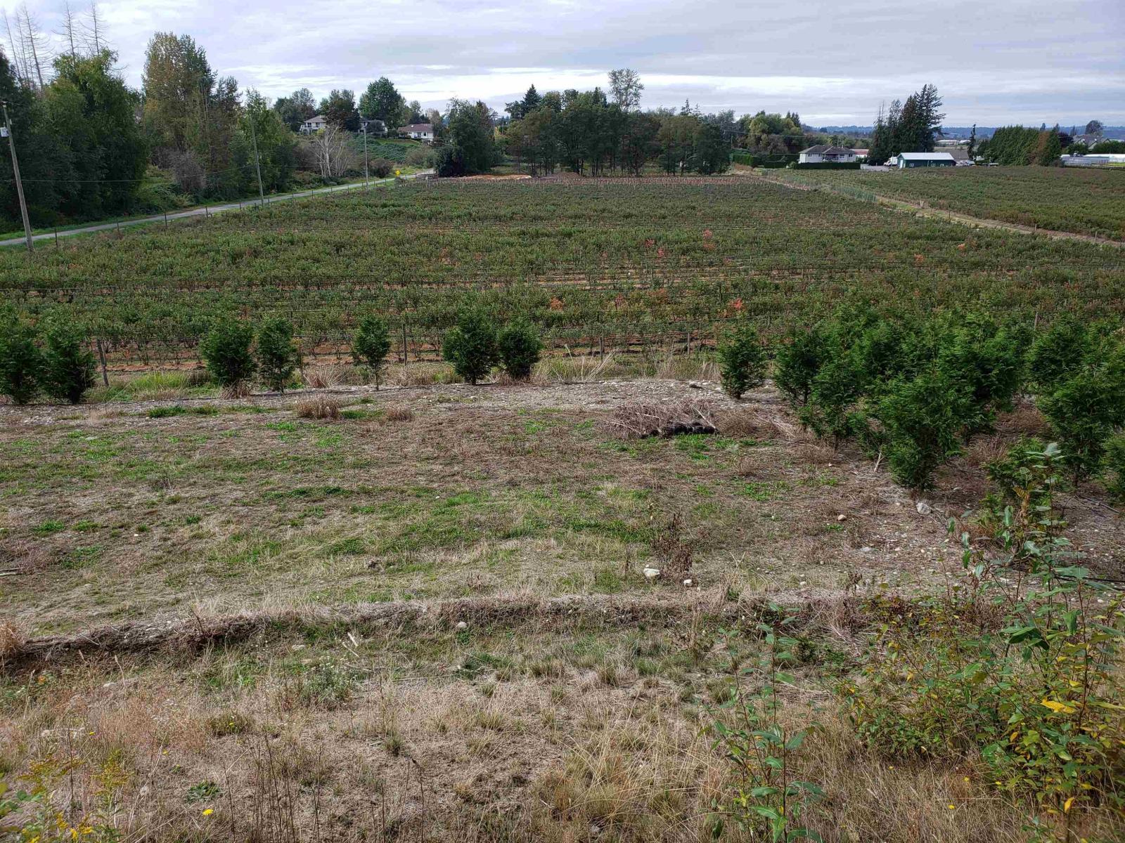 34861 Bateman Road, Abbotsford, British Columbia  V2S 7Y8 - Photo 6 - R3029633