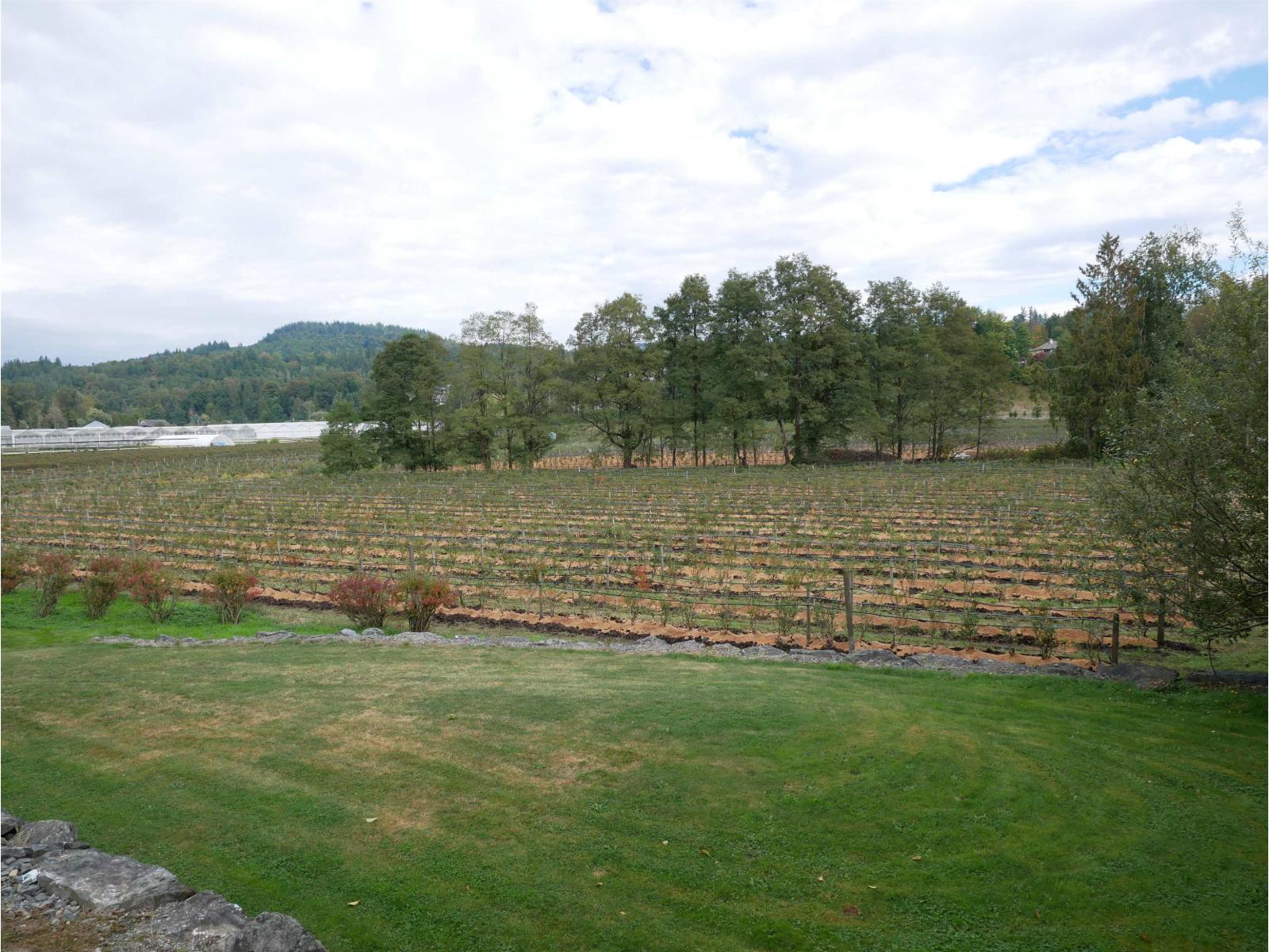 34861 Bateman Road, Abbotsford, British Columbia  V2S 7Y8 - Photo 19 - R3029633