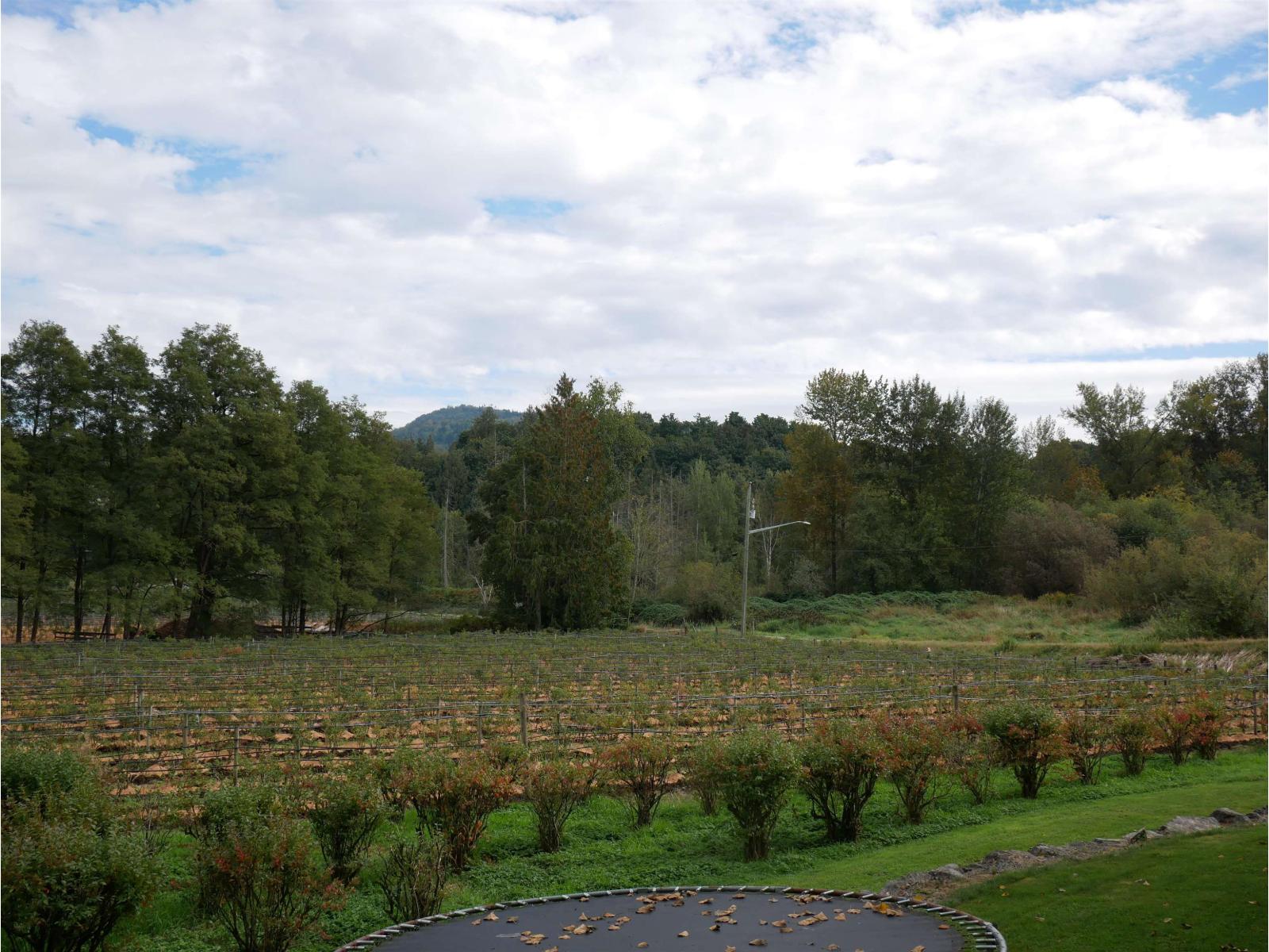 34861 Bateman Road, Abbotsford, British Columbia  V2S 7Y8 - Photo 22 - R3029633