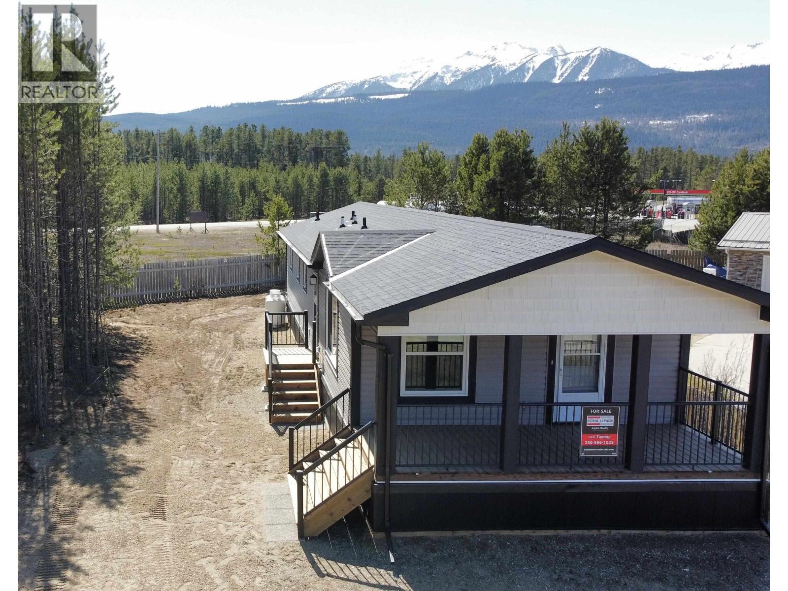 1471 8th Place, Valemount, British Columbia  V0E 2Z0 - Photo 10 - R3057575