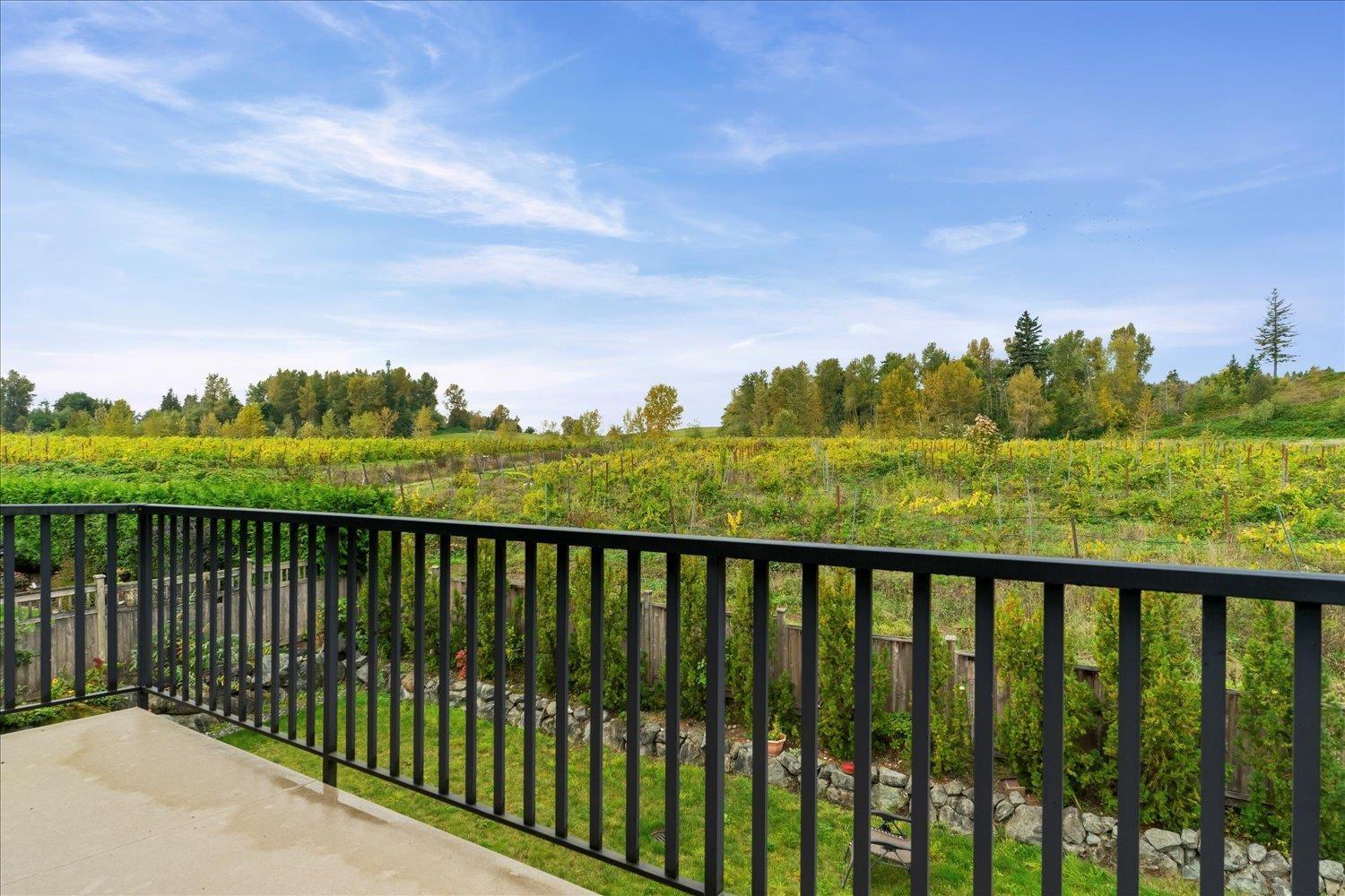 2203 Riesling Drive, Abbotsford, British Columbia  V4X 0A6 - Photo 17 - R3055468