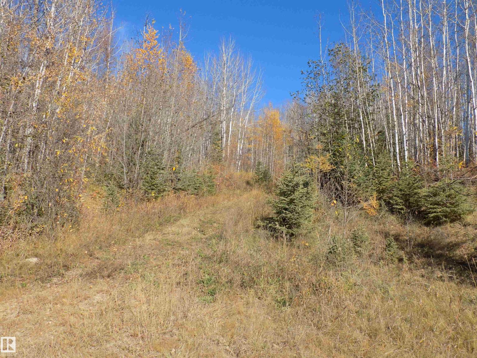 TWP 463A RD, Rural Wetaskiwin County, Alberta