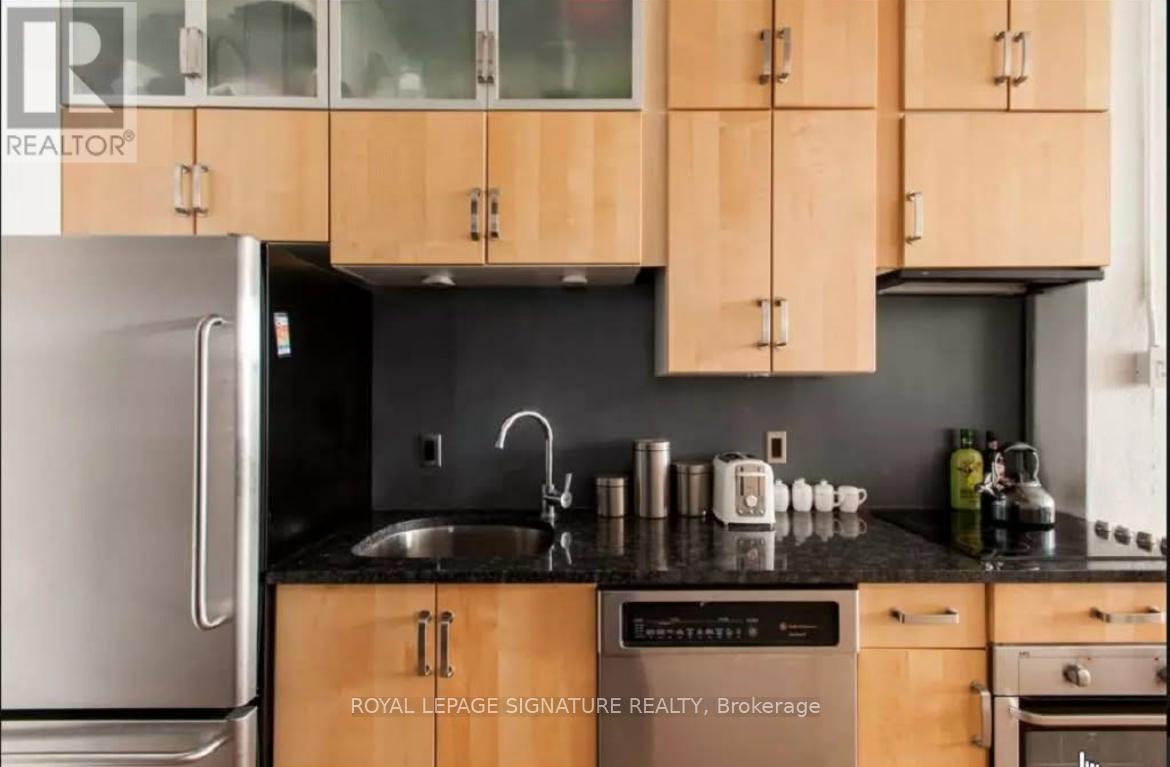 201 - 264 Seaton Street, Toronto, Ontario  M5A 2T4 - Photo 3 - C12457774