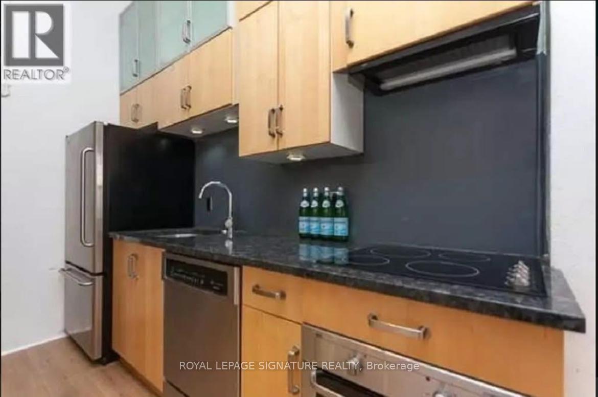 201 - 264 Seaton Street, Toronto, Ontario  M5A 2T4 - Photo 5 - C12457774
